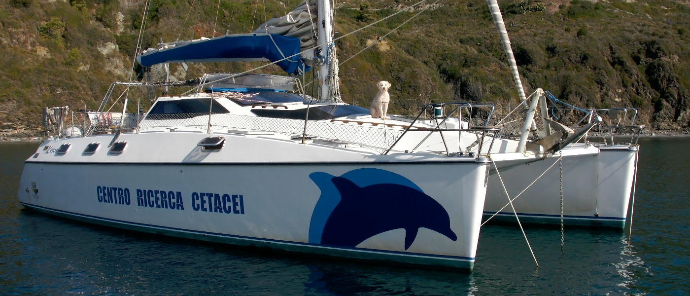 Catamarano Ketos